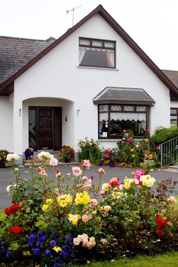 Mourneview B & B Carlingford Bagian luar foto