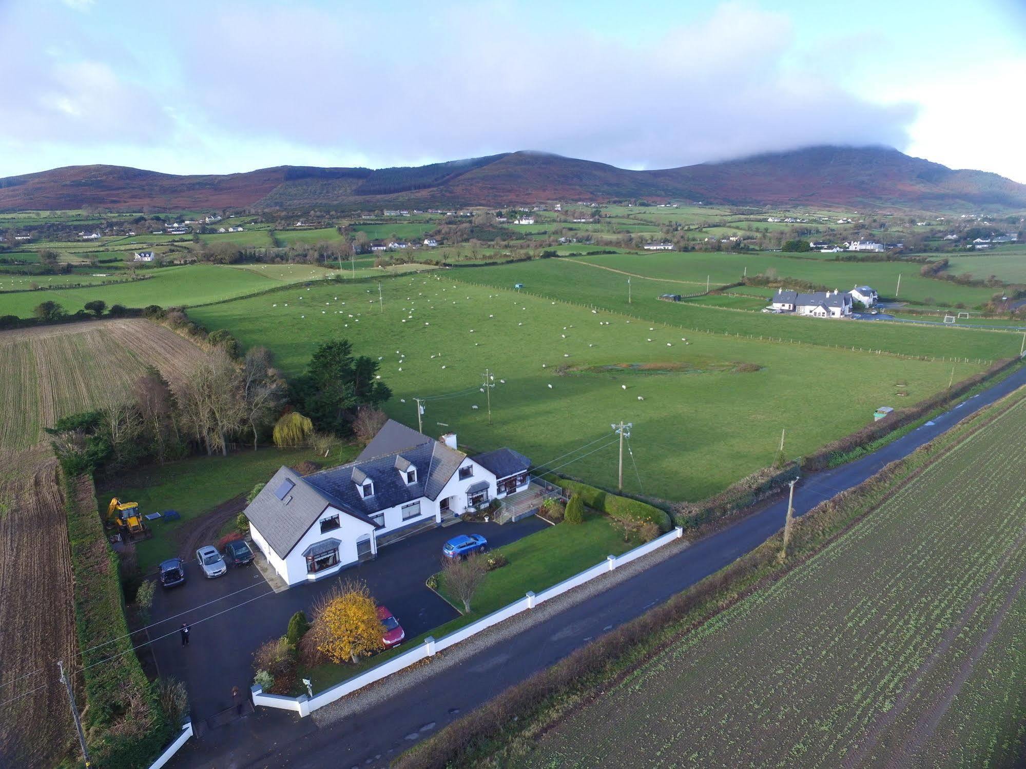 Mourneview B & B Carlingford Bagian luar foto