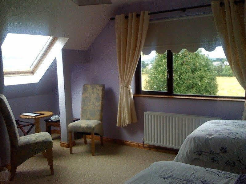 Mourneview B & B Carlingford Bagian luar foto